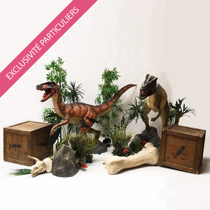Sweetpack Dinosaures XL