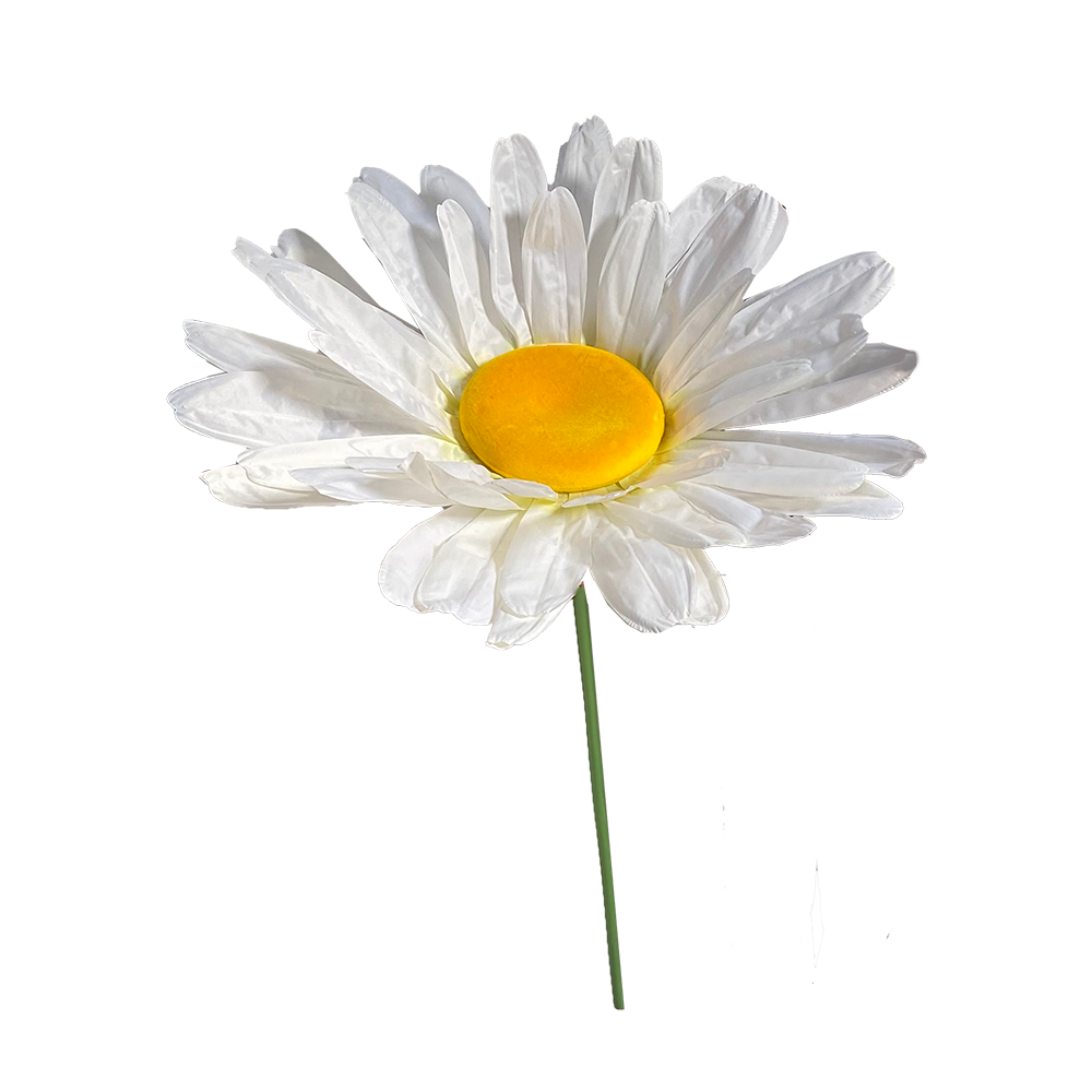 Marguerite - 150cm