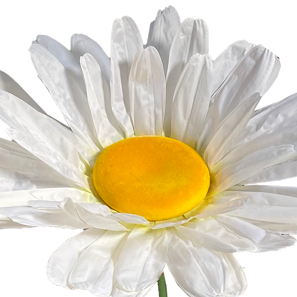 Marguerite - 150cm