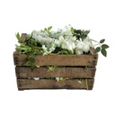 Sweetpack ferme