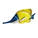 Poisson papillon - 91cm