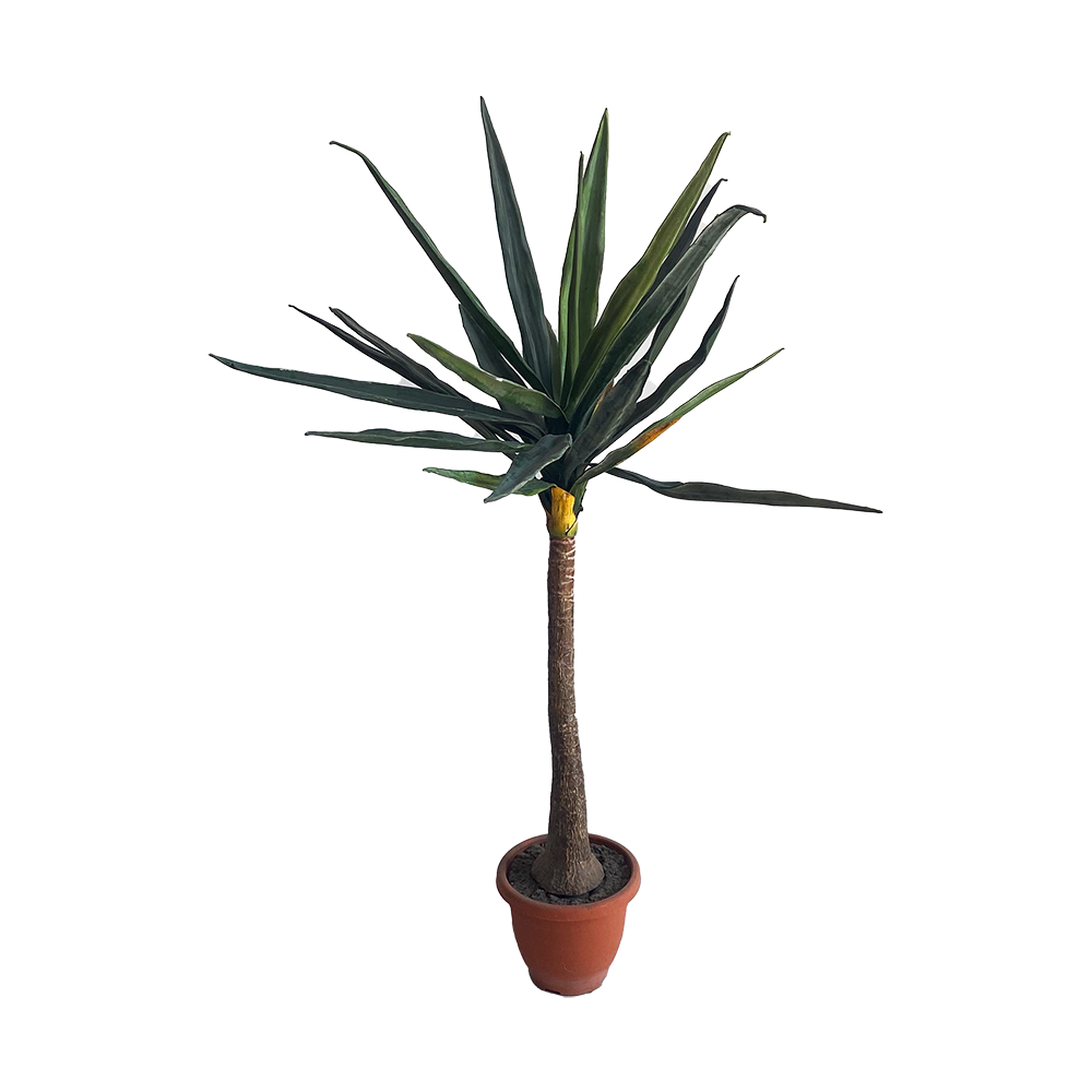 Arbre Yucca - 160cm