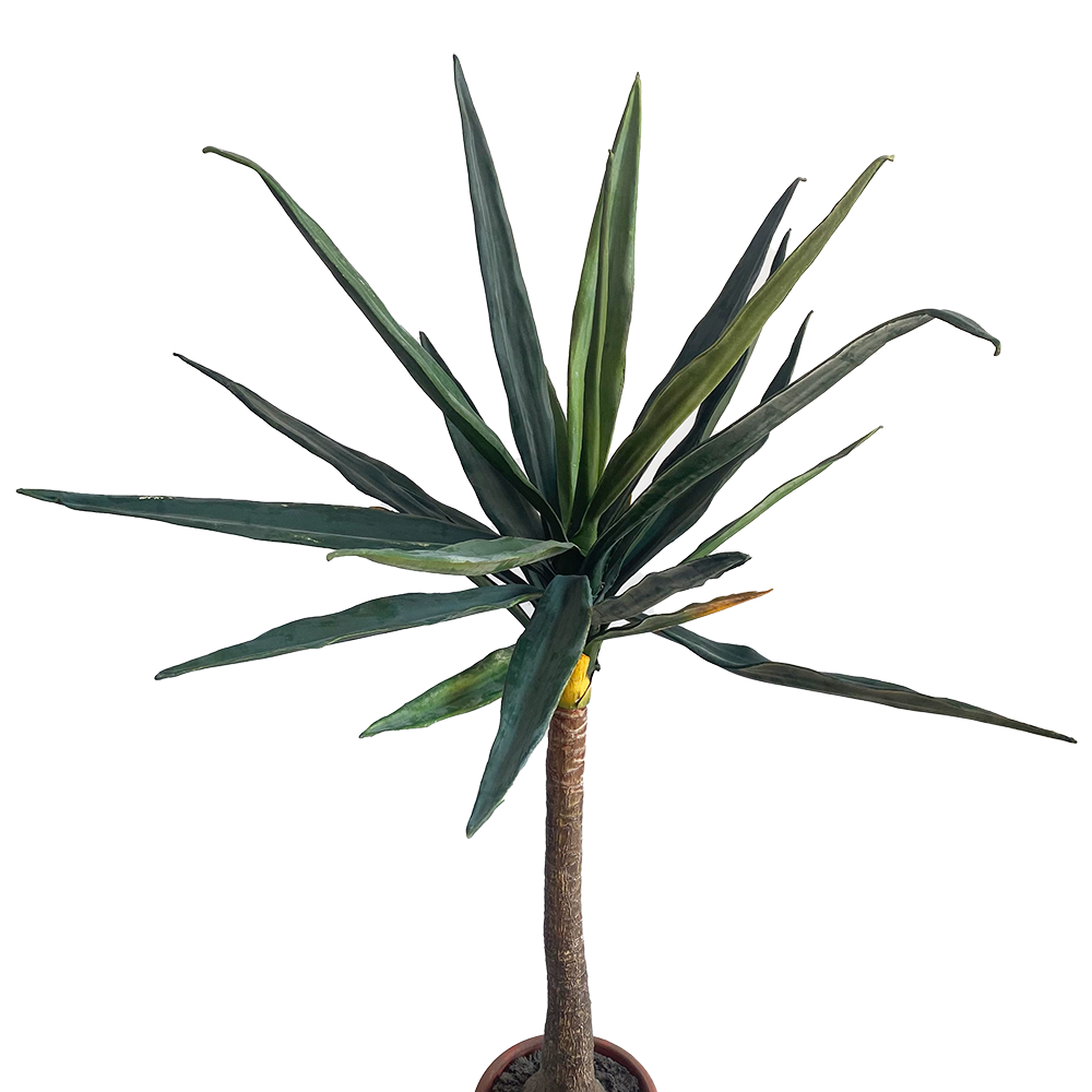 Arbre Yucca - 160cm