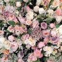 Mur de roses - 250cm