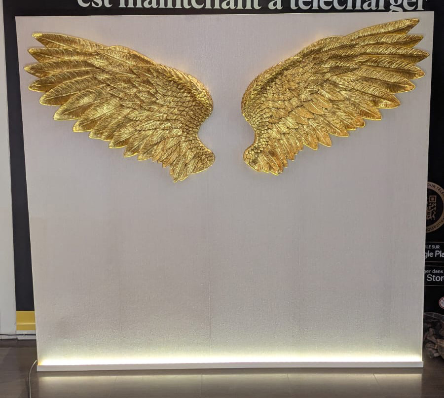 Photocall ailes d'ange - 2m