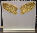 Photocall ailes d'ange - 2m