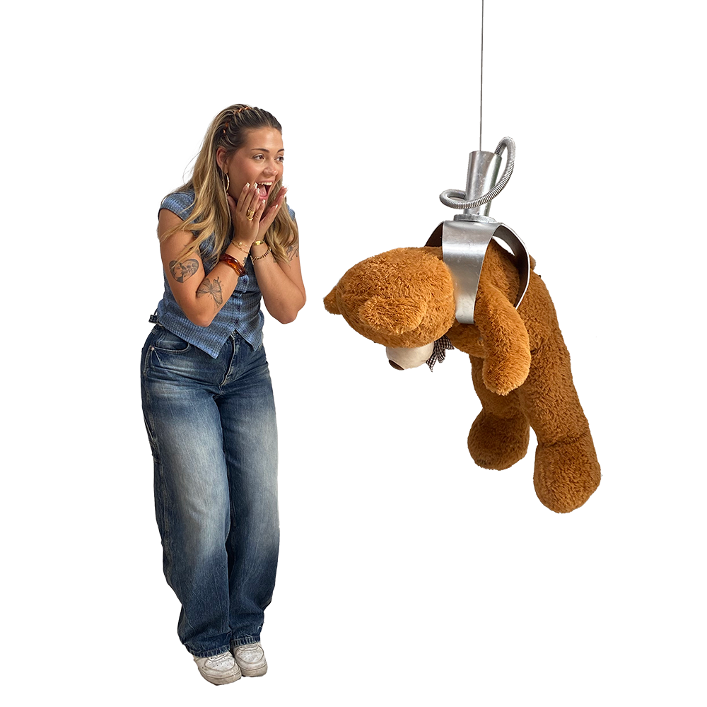 Pince fête foraine avec ourson