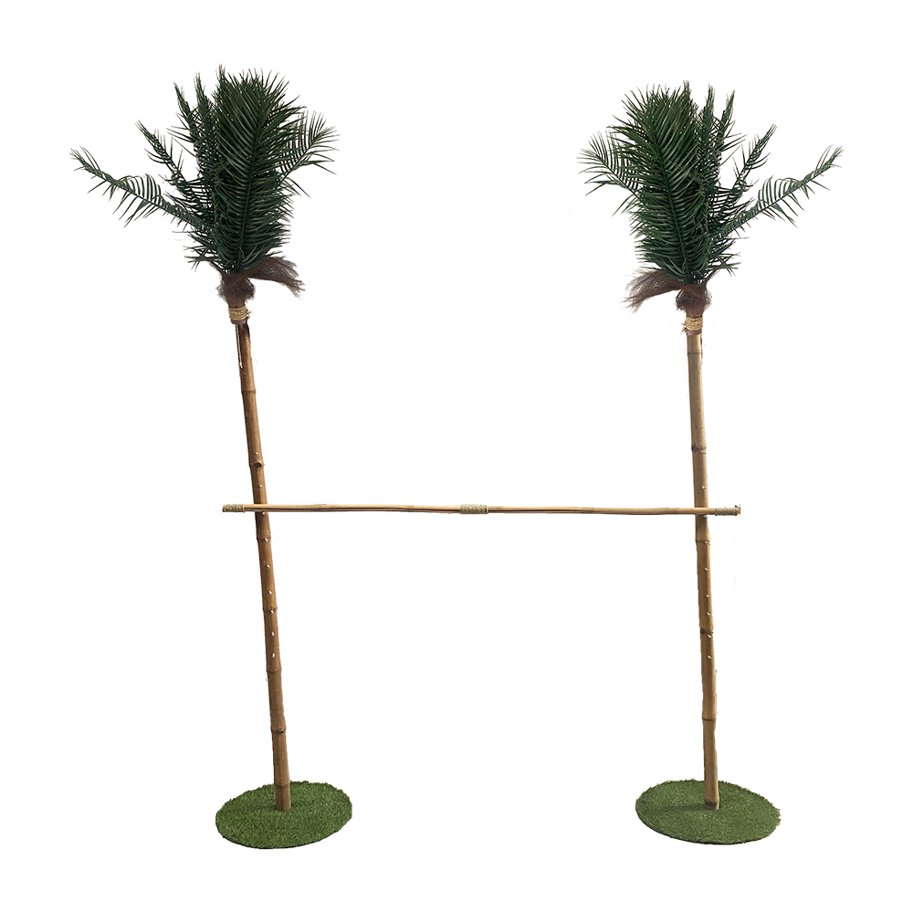 Jeu du Limbo - 230cm
