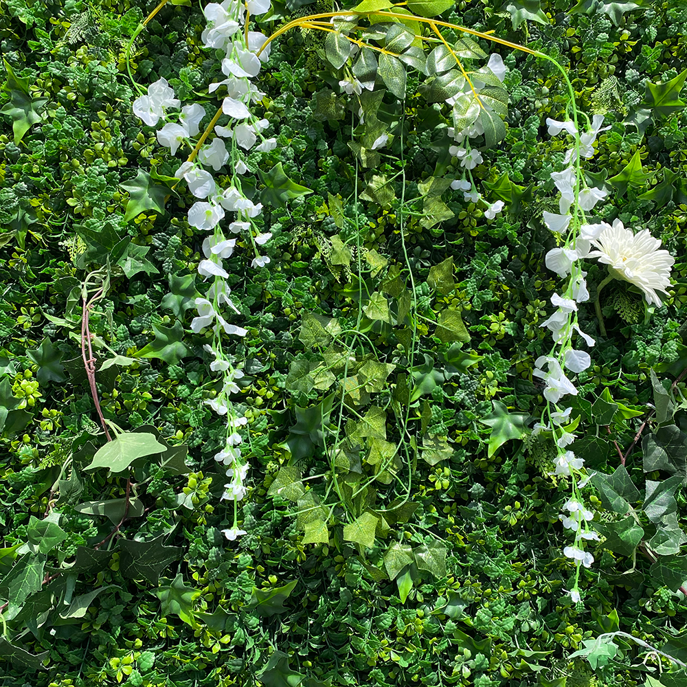 Fond végétal - 240cm