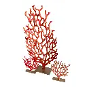 Design sans titre (9).webp