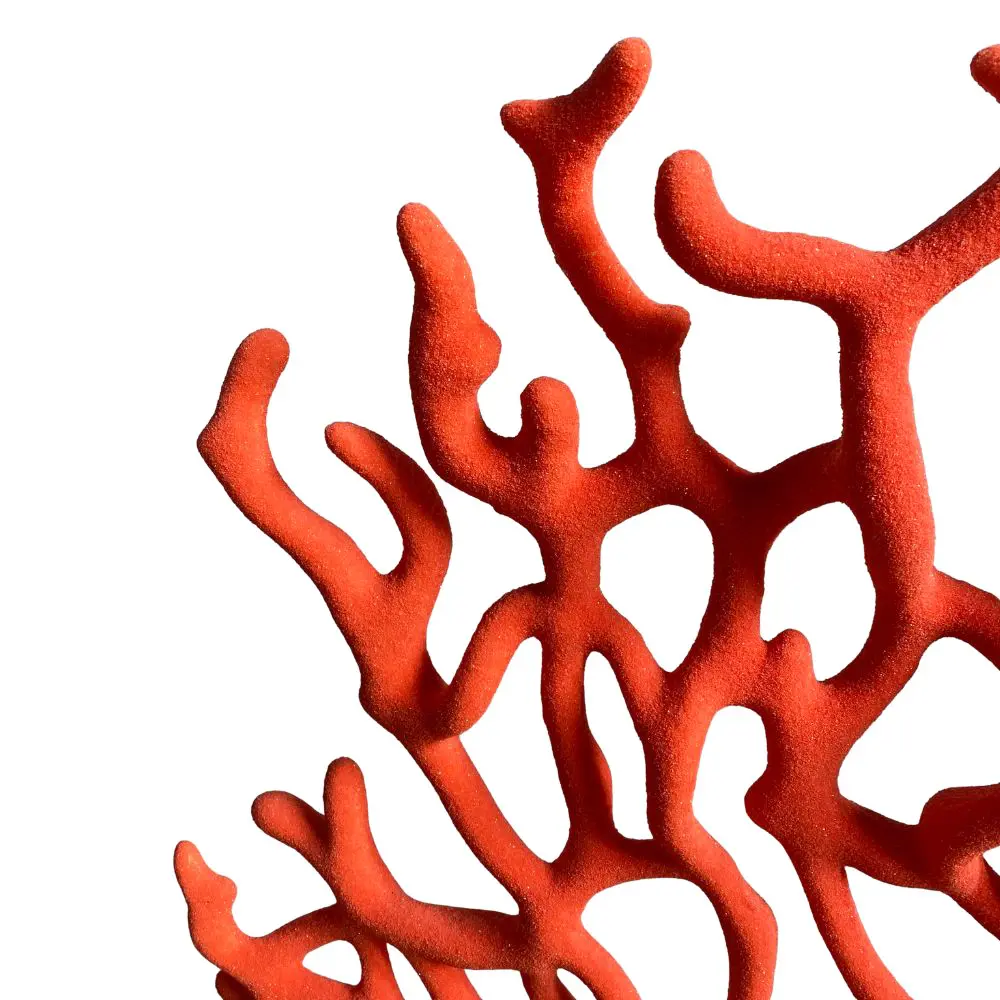 Design sans titre (10).webp