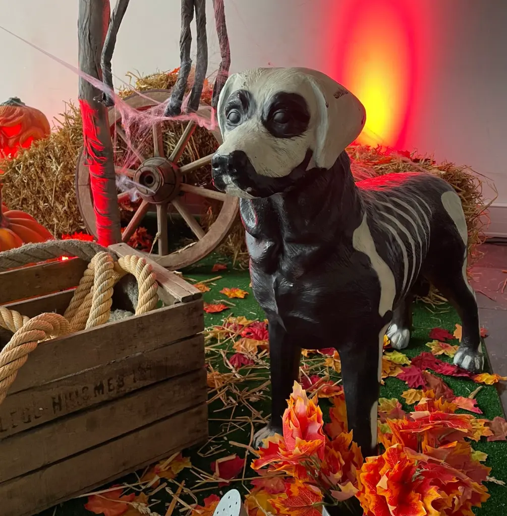 Capture d’écran 2025-10-16 à 11.16.57.webp