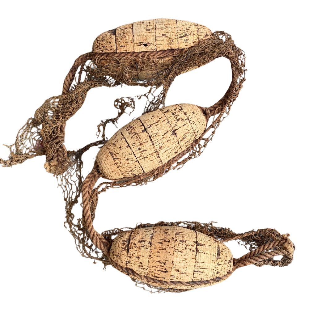 Design sans titre - 2026-01-20T100535.320.jpg