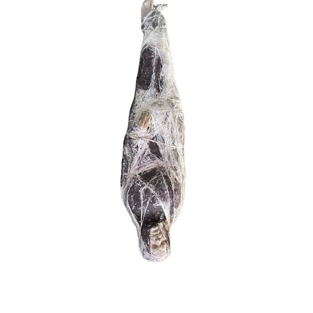 Design sans titre - 2025-10-28T170818.405.webp