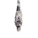 Design sans titre - 2025-10-28T170818.405.webp