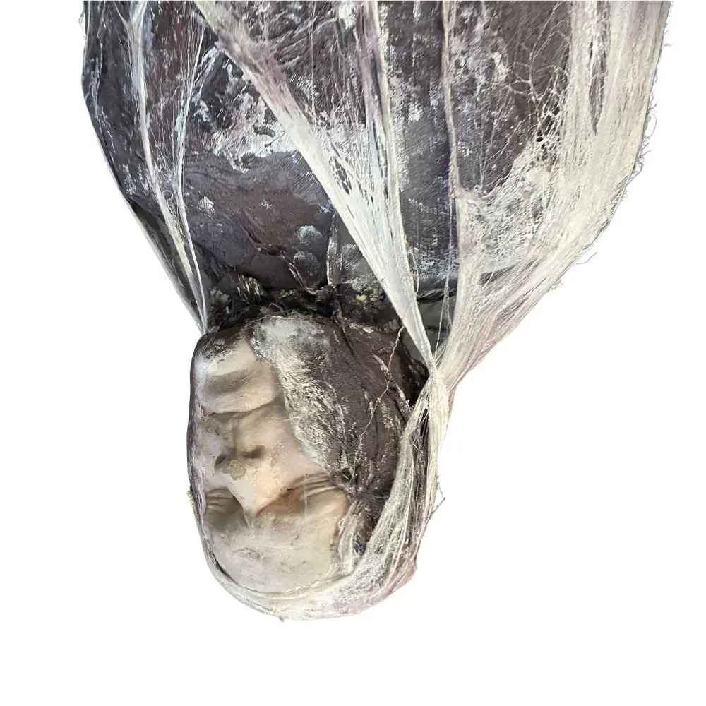 Design sans titre - 2025-10-28T170656.480.webp