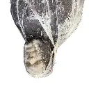 Design sans titre - 2025-10-28T170656.480.webp