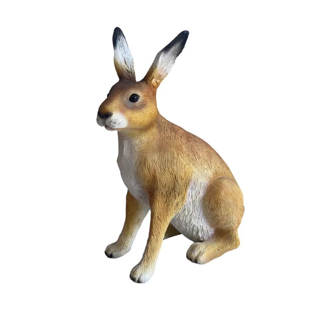 Design sans titre (73).webp