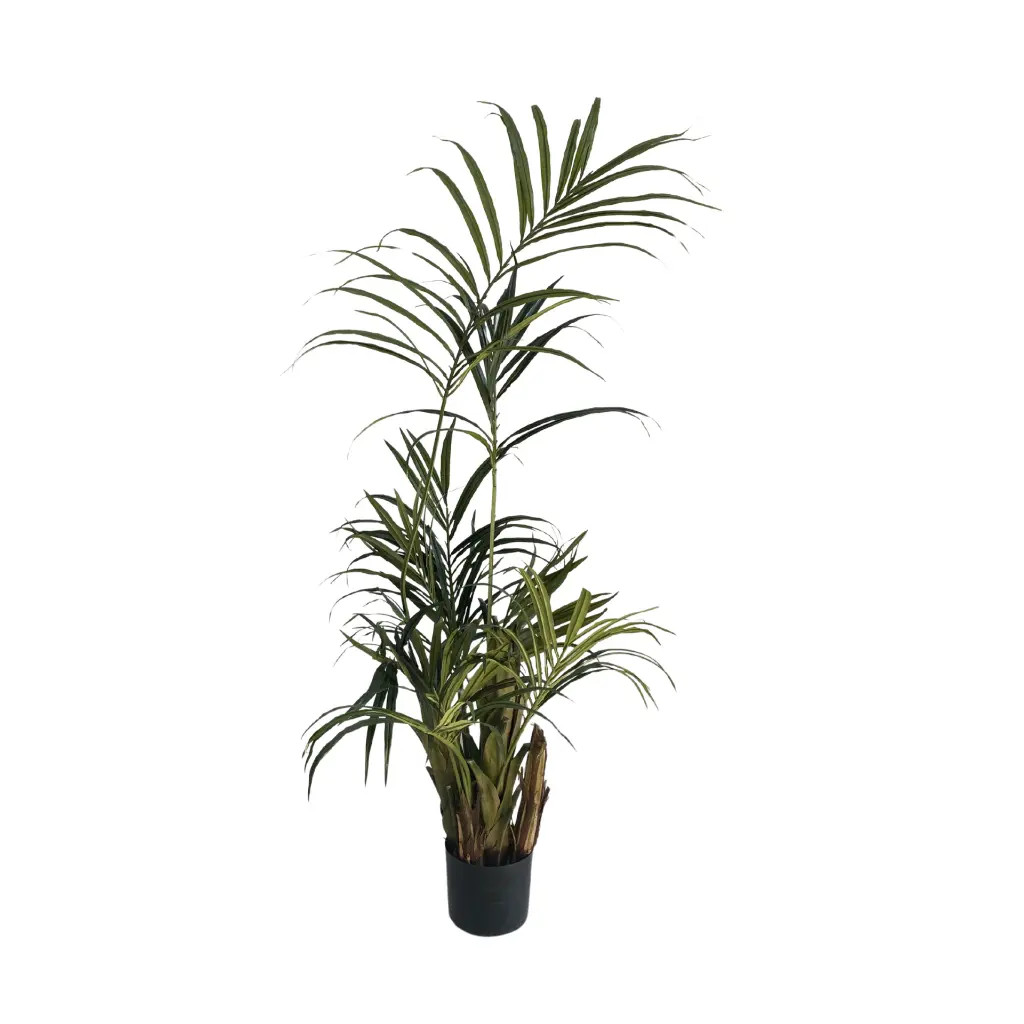 55cm (12).webp