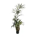 55cm (12).webp