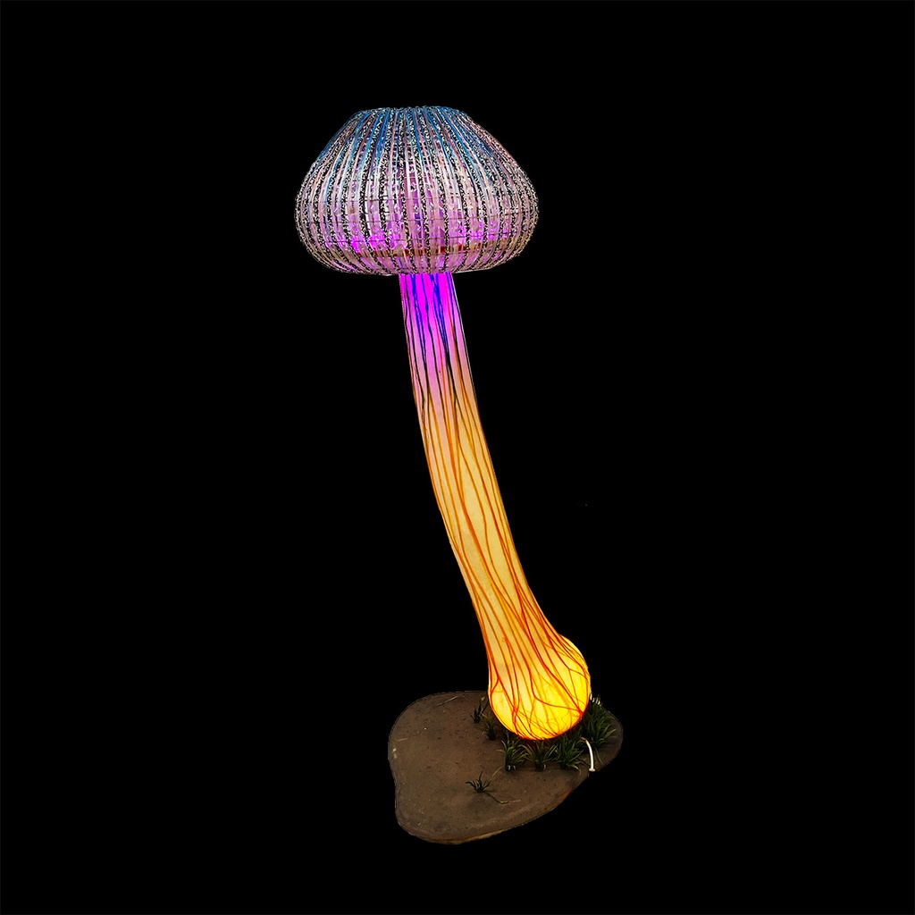 champignon7.jpg