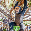 Singe suspendu 100cm