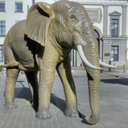 [locsau51] Eléphant taille réelle - 300cm