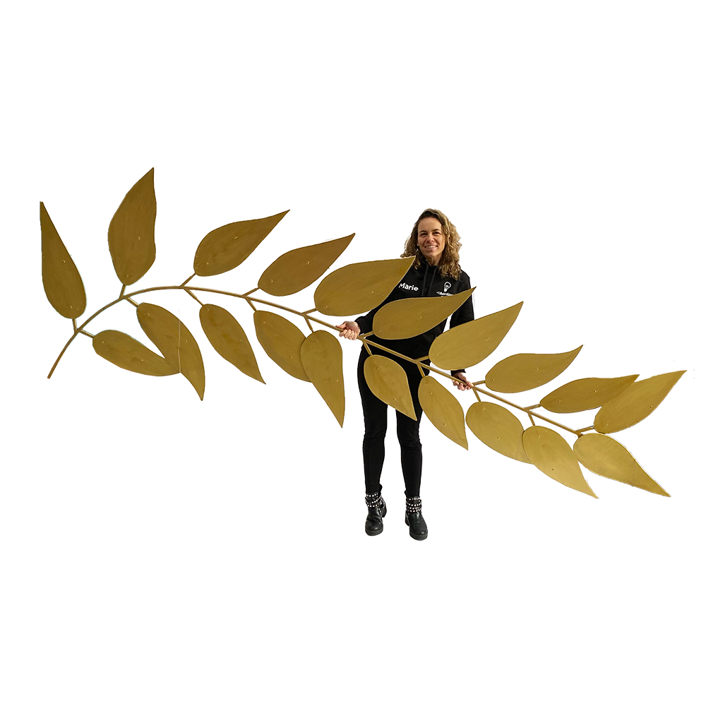 Palme d'Or - 320cm