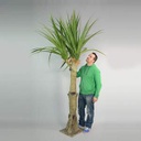 [locfar52] Arbre Yucca - 300cm