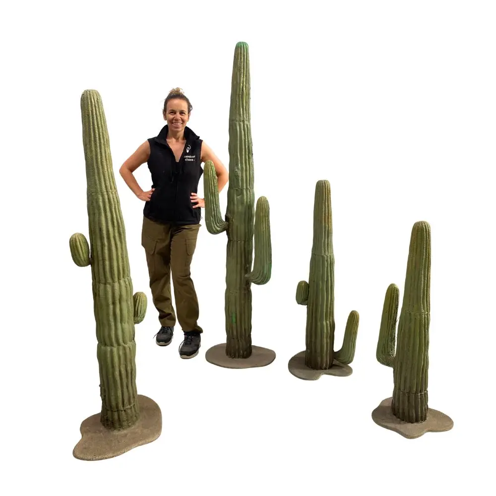 Cactus - de 114 à 160cm