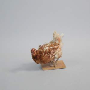 Poule - 40cm