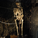 [lochor26] Squelette 200cm