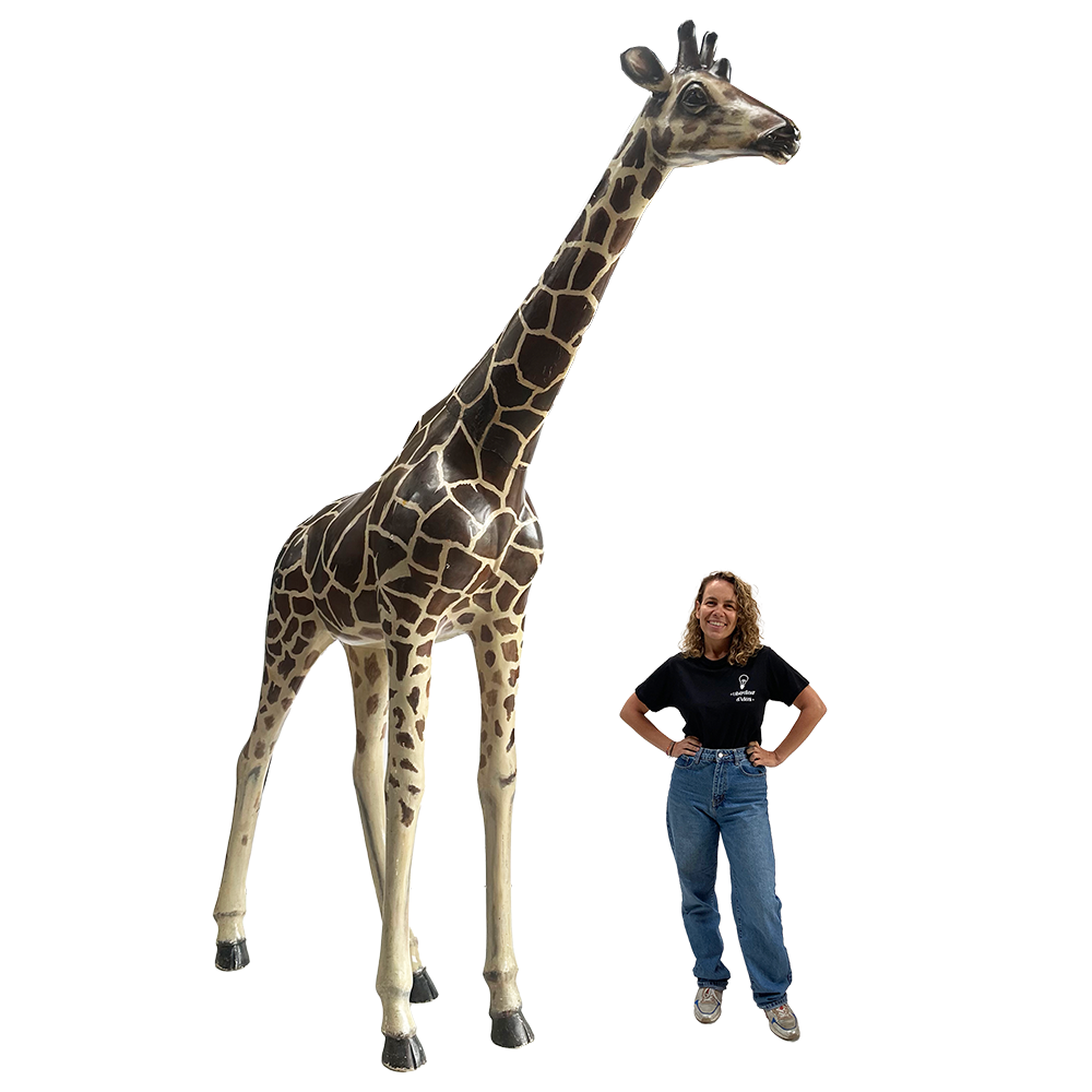 Girafe - 320cm