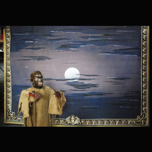 Toile pleine lune - 445cm