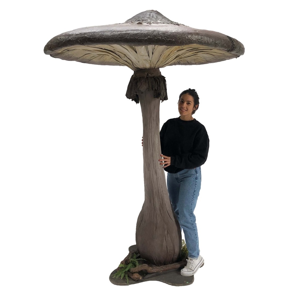 Champignon fin - 230cm