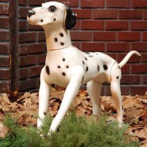 Chien Dalmatien - 54cm