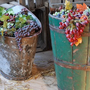 Panier cueillette raisin - 100cm