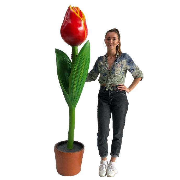 Tulipe colorée - 180cm