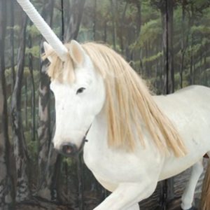 Licorne - 270cm