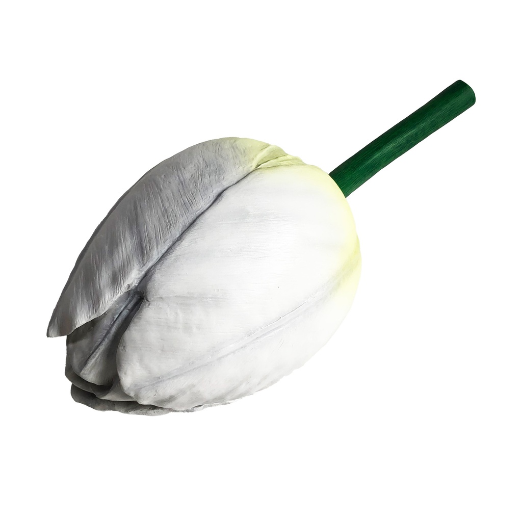 Bouton de tulipe blanc - 40cm