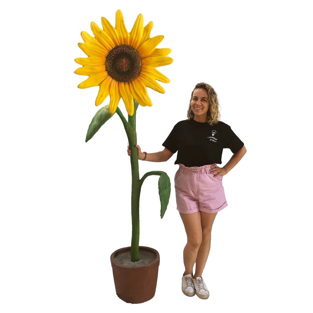 Fleur Tournesol - 210cm