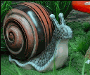 [locapm26] Escargot - 38cm