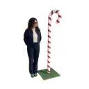Sucre d'orge - 180cm