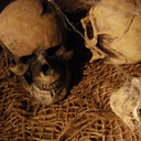[lochor115] Crâne humain - 15cm