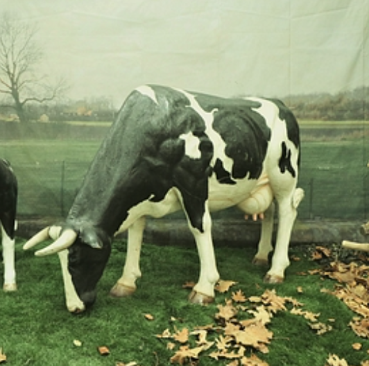 Vache pâturage - 160cm