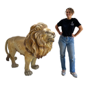 Lion - 140cm