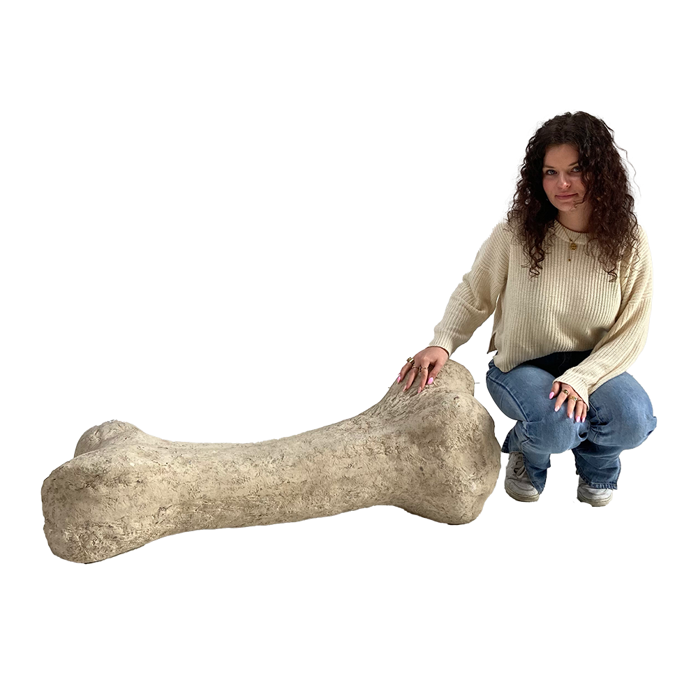 Os de dinosaure - 110cm