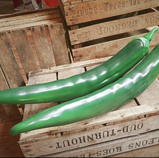 Piment vert - 70cm