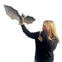 Chauve-souris - 80cm