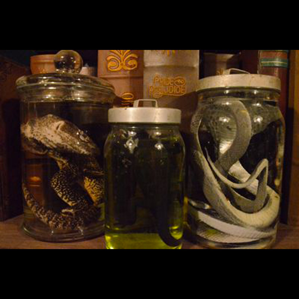 Reptiles dans bocaux de formol - 25cm